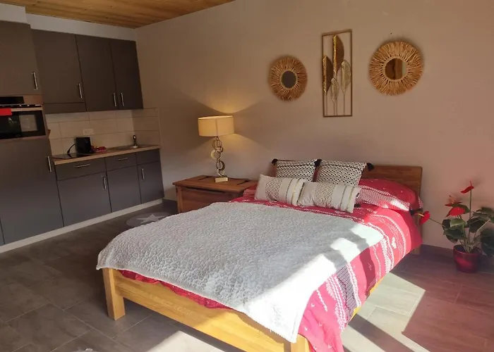 Magnifique Renove Au Coeur Des 4 Vallees Апартаменты Нанда